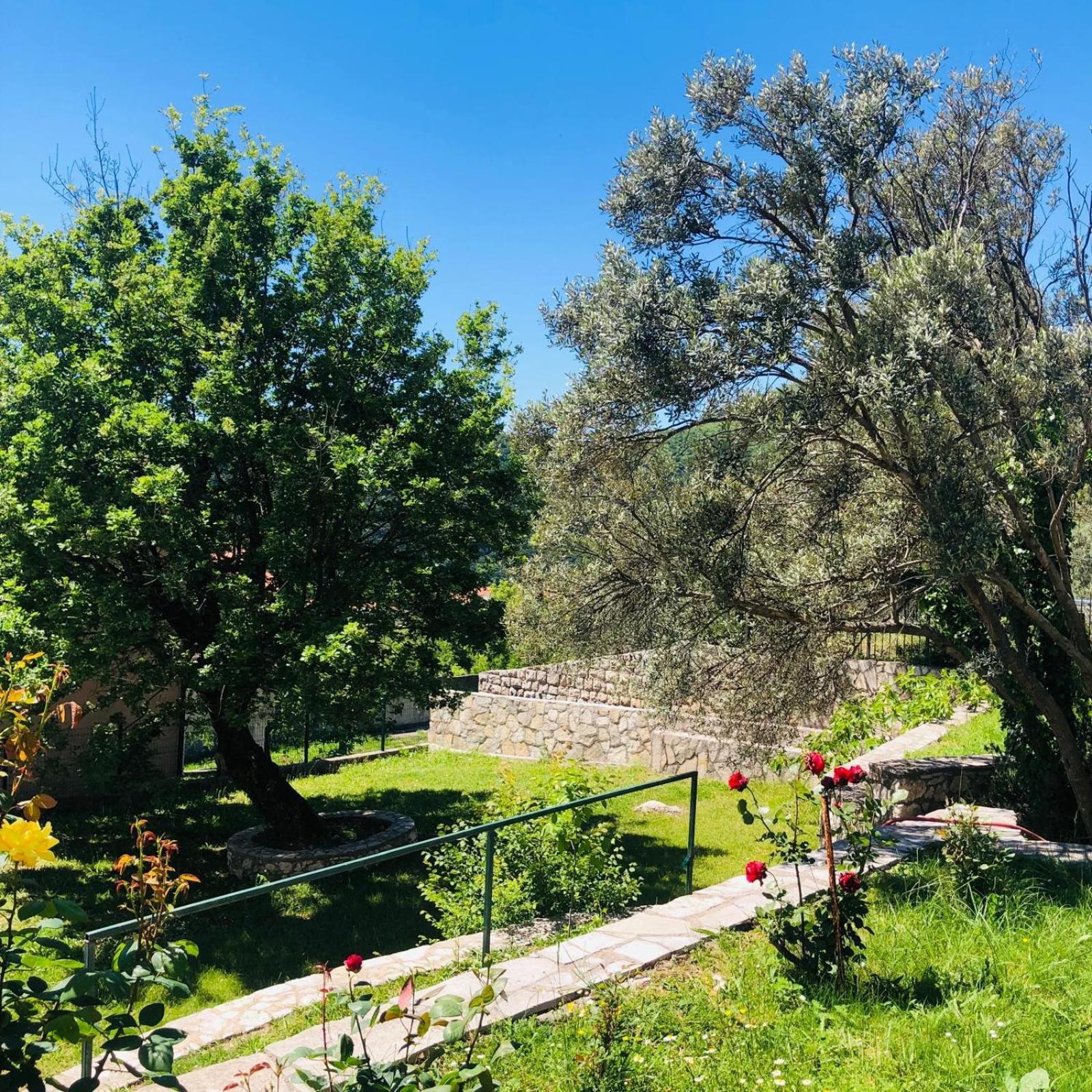 Vila Oaza Markovici بودفا المظهر الخارجي الصورة